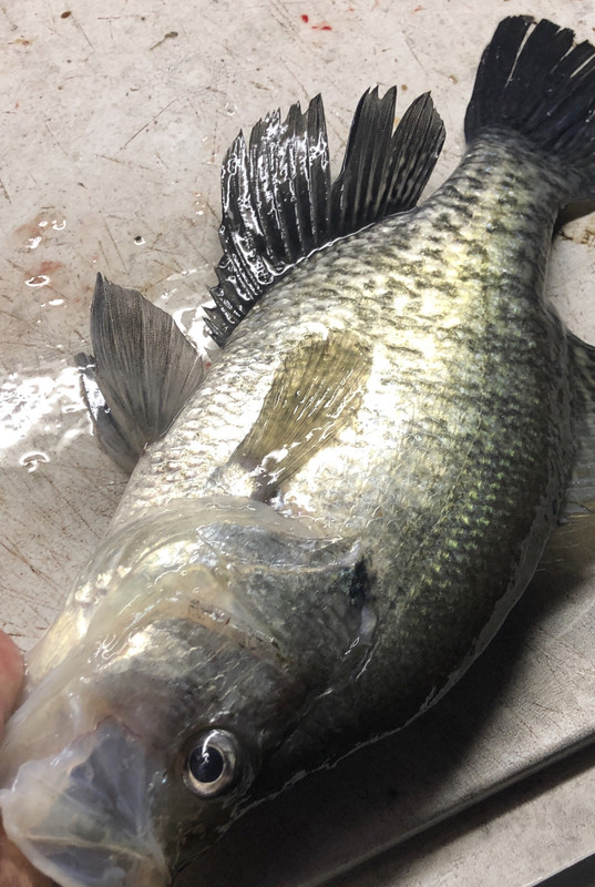 B9501C99-6C87-4134-9BC7-4D4C37769928