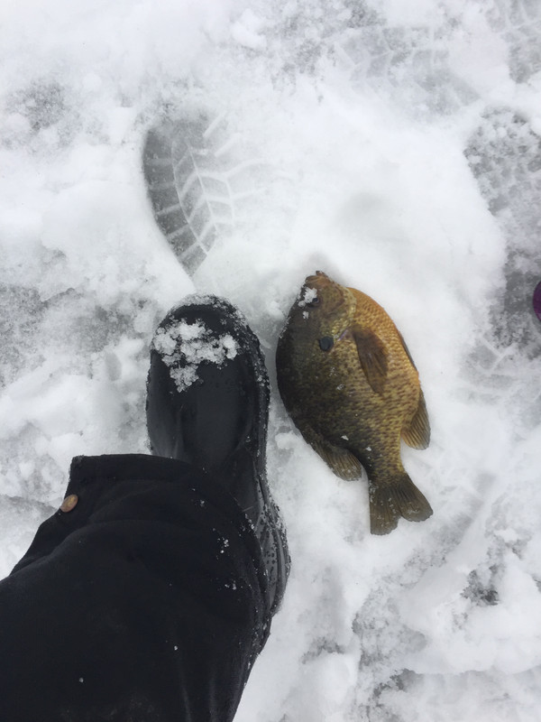 A692C69B-D36A-47F8-A382-5089451CAD11