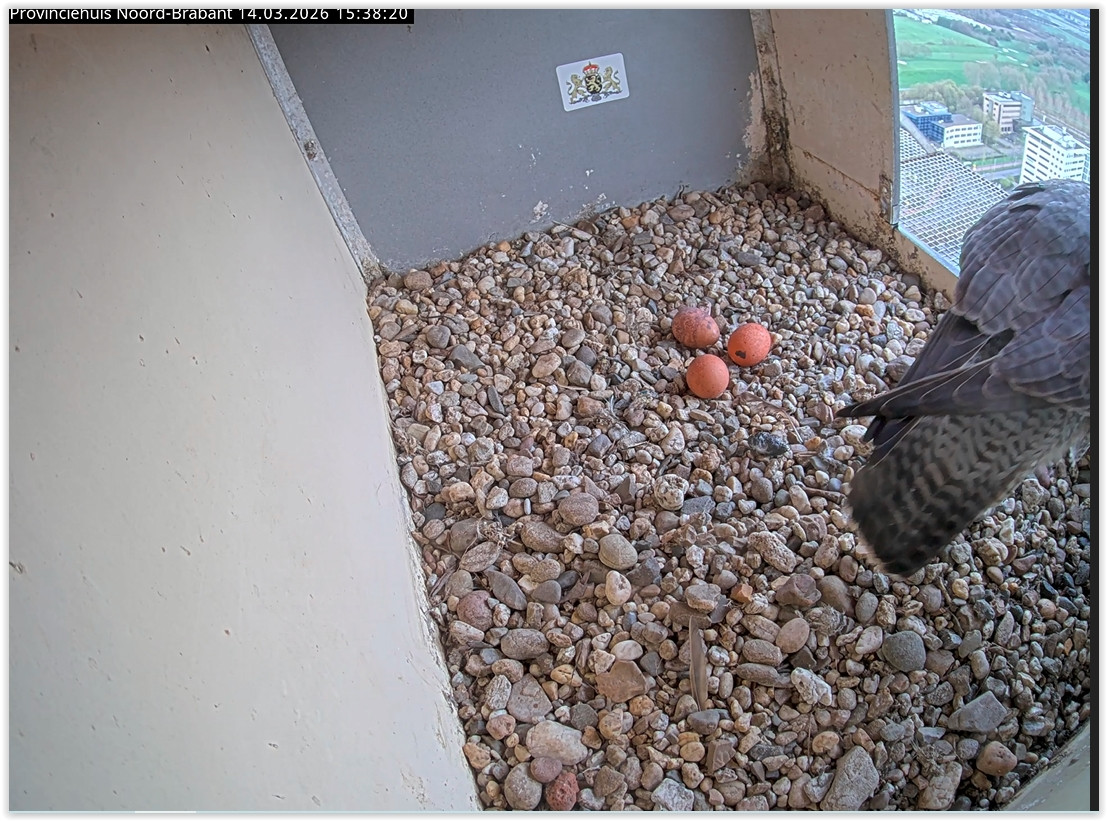 Screen Shot 03 14 26 at 03 39 PM