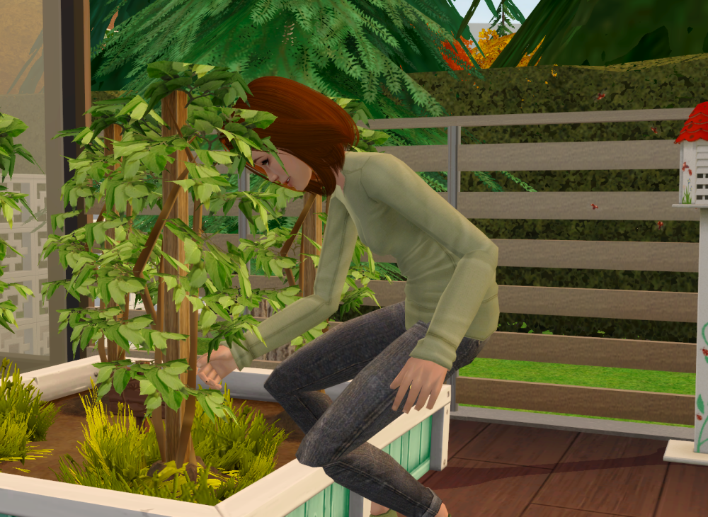 Sims2-EP9-RPC-2022-05-12-20-31-42-17