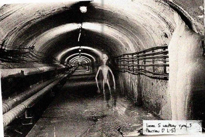dulce base