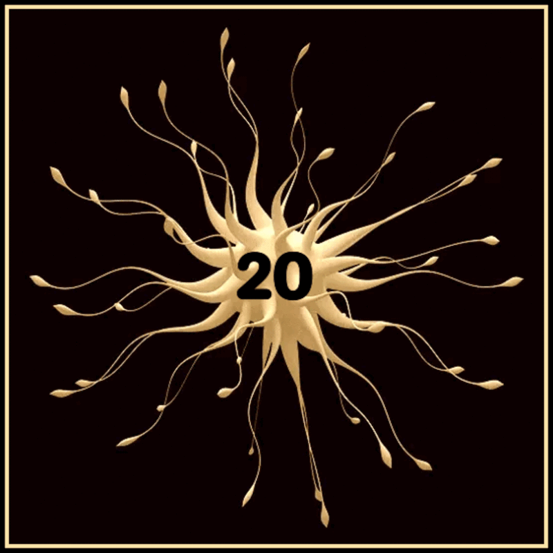 318F5897-A725-47A3-BACC-15DDF2D8D812