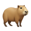 IMG-3275.png