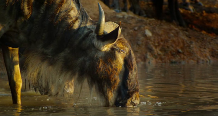 vlcsnap-2018-04-11-19h42m35s946