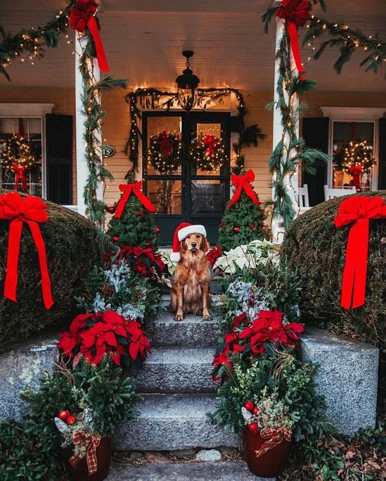 redxmasdog.jpg