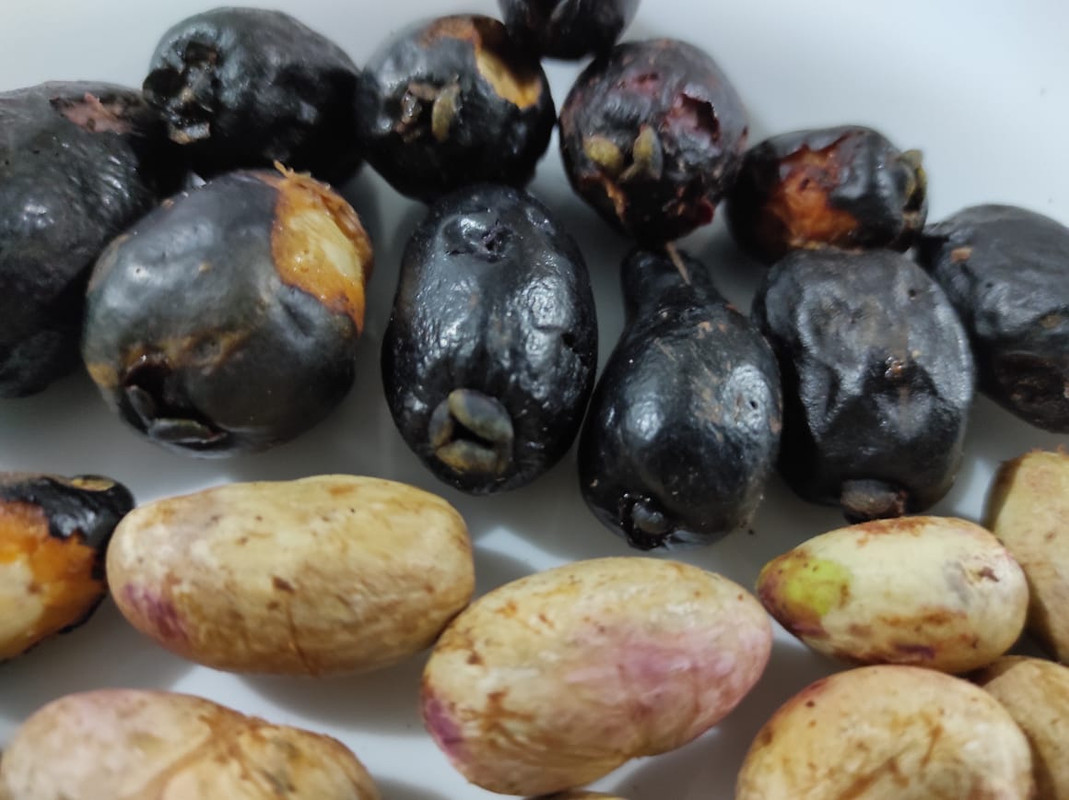 WhatsApp Image 2021-07-16 at 01.12.45 (1)