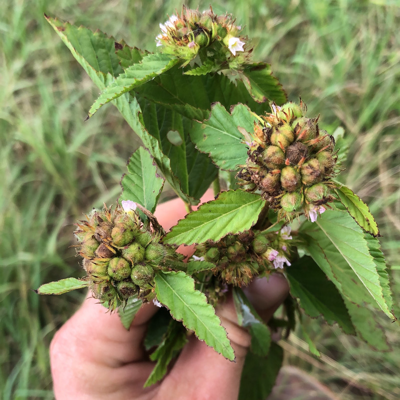 41C27086-AEA1-4874-AA40-833D4CC506F3