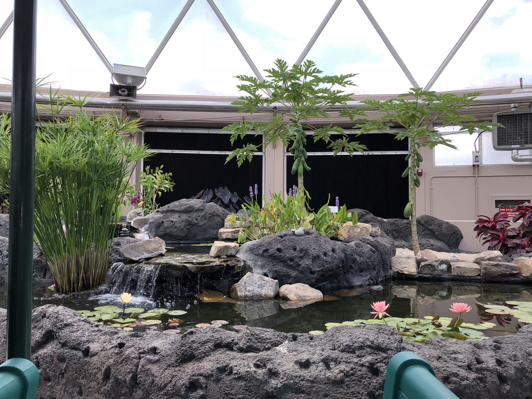 863DFBAD-4008-404B-B0FE-1B645C2EFB0F