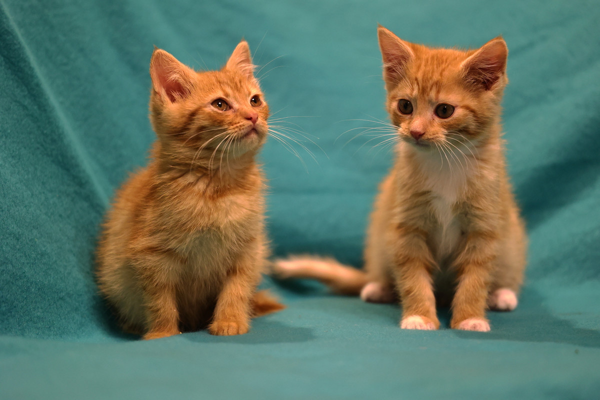 C03C9553-5E9C-4722-8403-3C38A3627A68