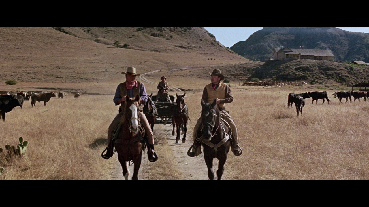 vlcsnap-2023-11-30-18h49m31s374