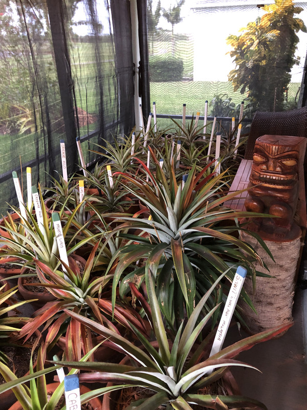 20B2D922-5F77-4593-B0BD-A39897B6AACF