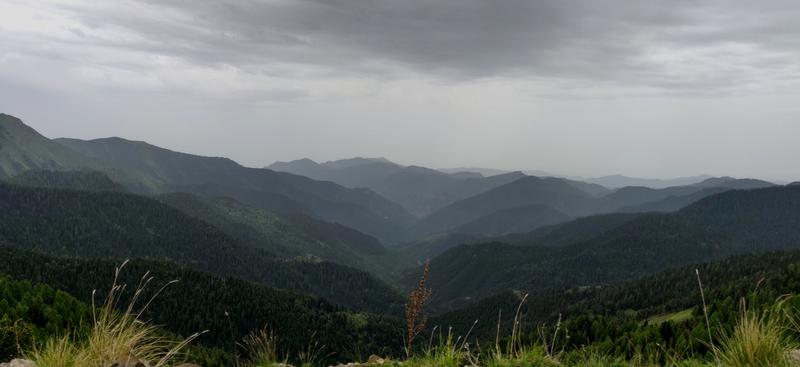 IMG_20190609_144608.jpg.1