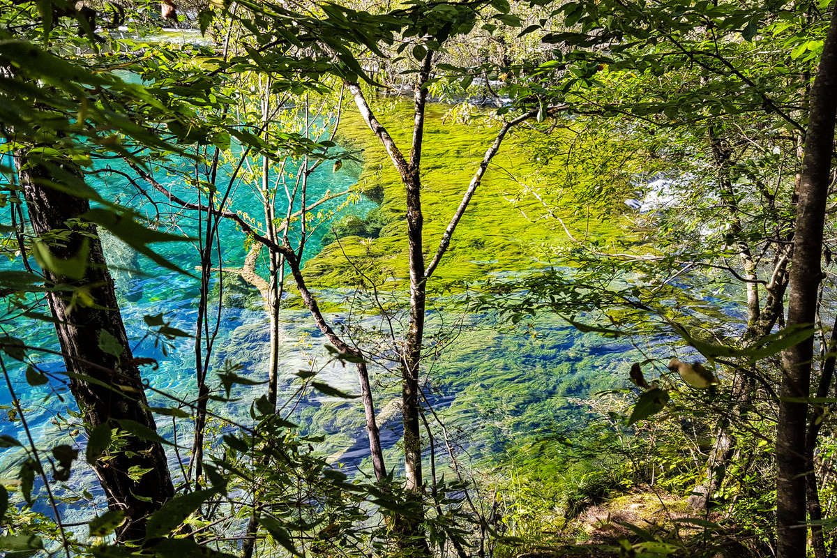 IMG 3949 Jiuzhaigou National Park Tiger lake — Postimages