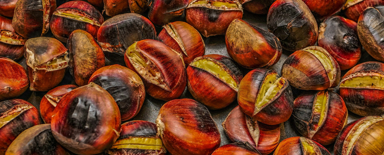 Panoramica del castagneto di Marrone Segnino