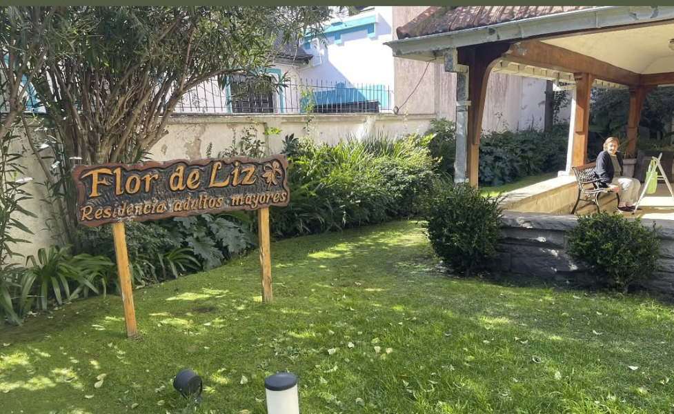 Flor de Liz