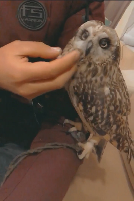 B7FA505F-2381-4A2E-A847-2A252AE72A0A