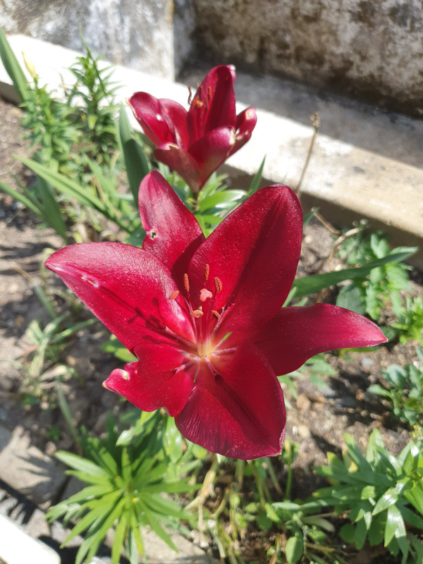 [Image: 20220706-163253.jpg]