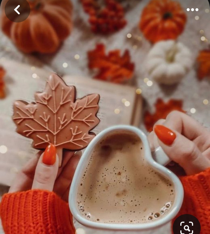 Screenshot_20230905_020117_Pinterest