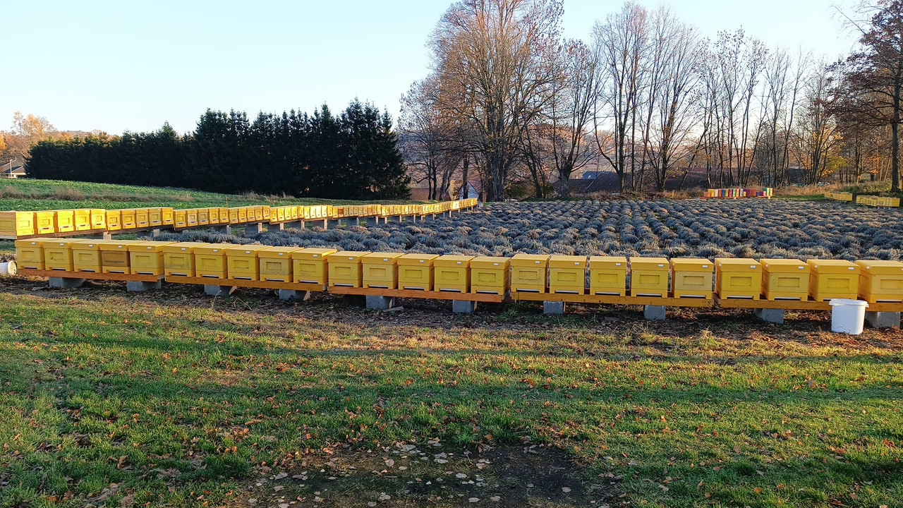 Obrazek Whats App 2025 11 06 v 15 25 34 5f2a9bb3