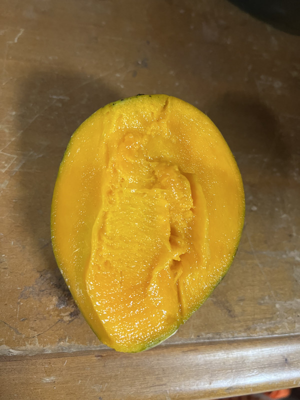 41FA4FF1-FA25-4917-92A7-D9915BEFE9F9