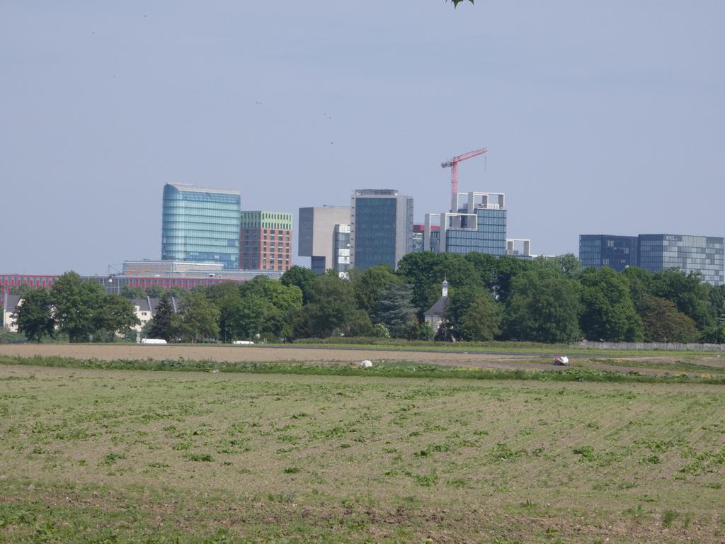 P1020002