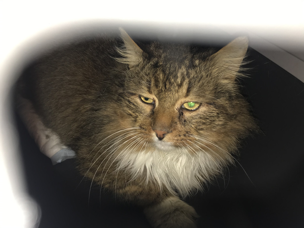 3900281B-3CA3-42F0-BAA9-9E165DA00BF4