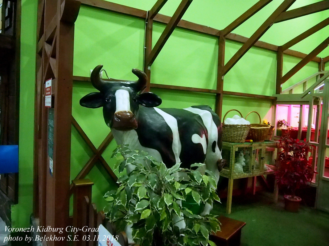 Воронеж, Кидбург