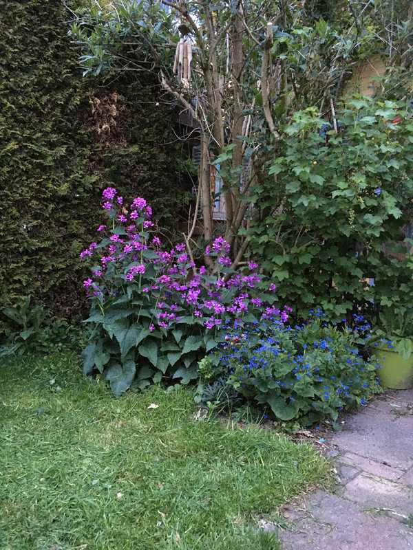 D50AAF01-0B67-441C-BB9D-8E38A861C9FC