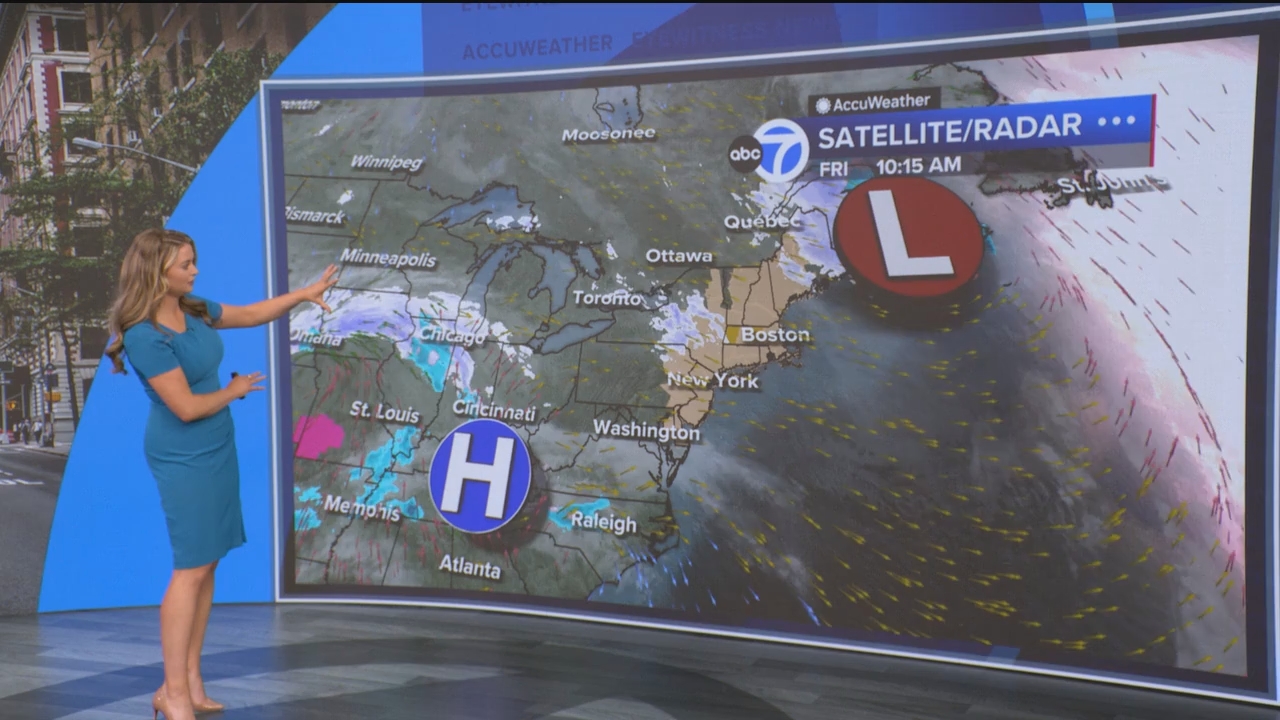 Eyewitness News Mornings at 10_20250307_15001600.ts_snapshot_48.05.570