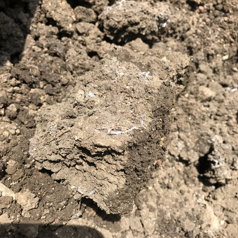 342B2A41-C32E-46F8-80F3-20CE89B3CD09