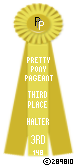 Halter-148-Yellow.png