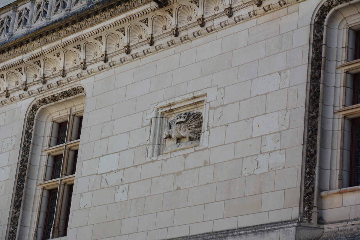 04.25 - DSC_7426 (Ater)