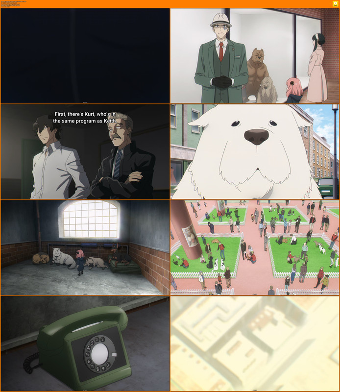 [HR] SPY×FAMILY S01E13 [017D8011].mkv
