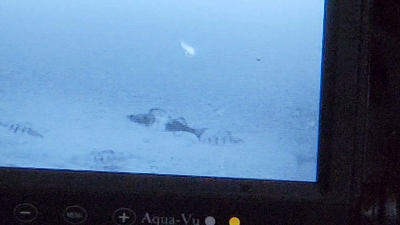 VideoCapture_20230122-194914