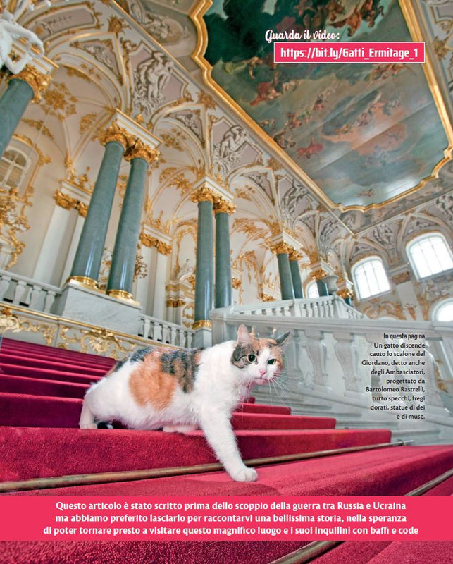 QuattroZampe Apr 2022 (2)