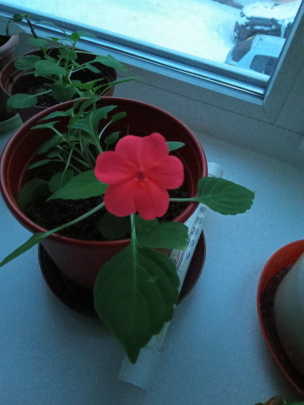 IMG20230108092437_01 (1)