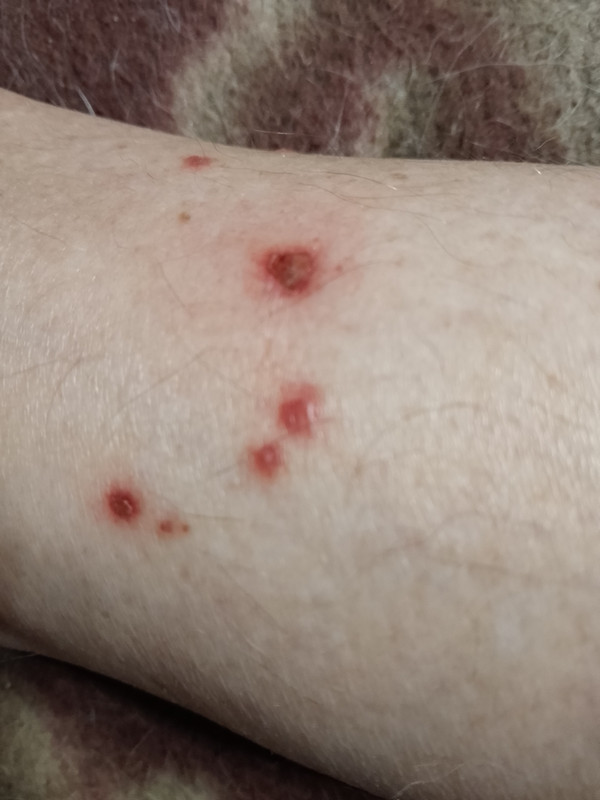 IMG 20250825 224527 016