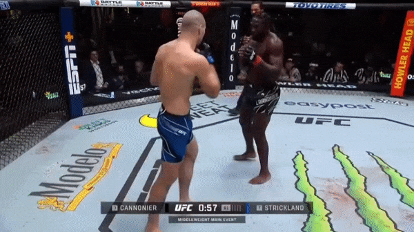 ezgif-com-gif-maker-39.gif