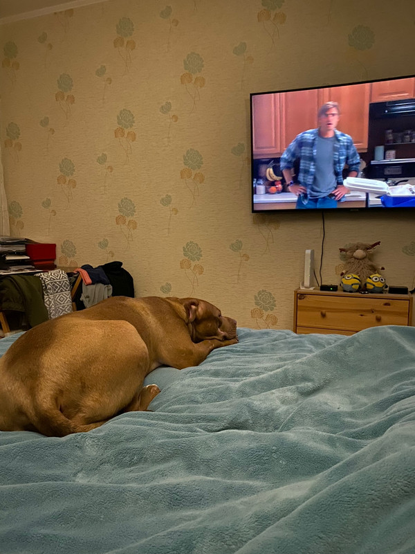 5FCC27C7-EB7F-4CB3-8EA0-DE9808E50E50