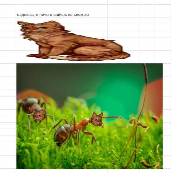 7li8HRKIZpVG8x-FYbFSeU40zBbicCwCg9MJ2_vmmOHQU9J7TqDYlIxDMMjRXBVjjzZb9Lo2h9Il8GsLzMuJ1RIj