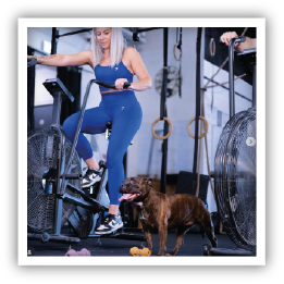 Site-Web-vignette-Instagram-Strong-29