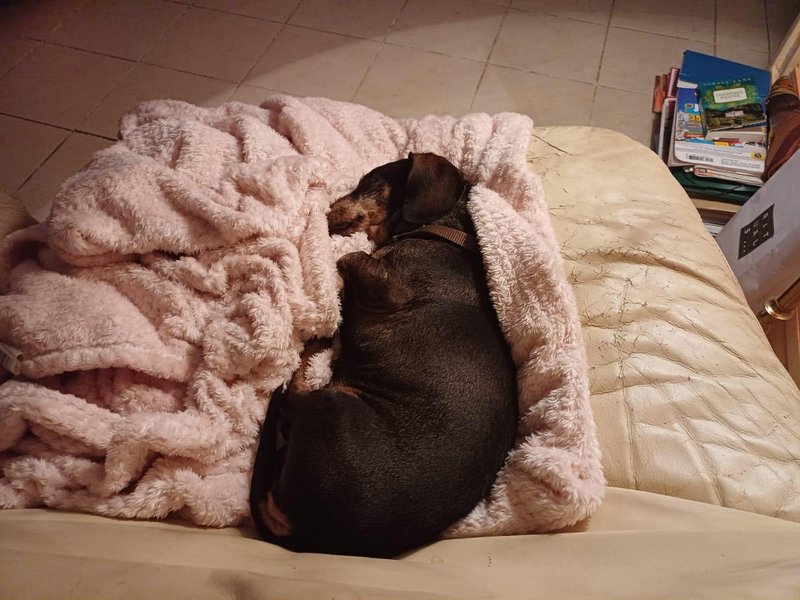 [Image: IMG-20240215-204415.jpg]