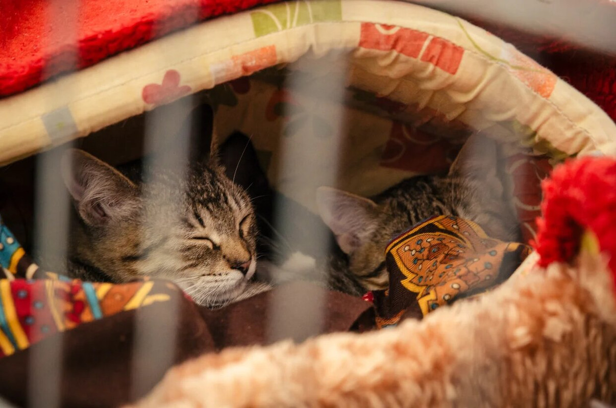 E5F2DA70-FF9E-48F9-BE97-95C16C56B03E