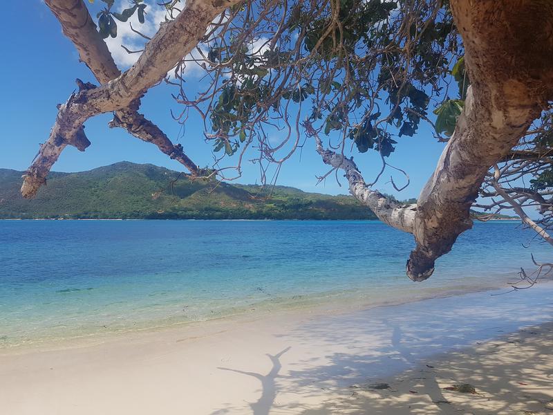 Seychelles-2ª parte de nuestra luna de miel. Se puede pedir más? - Blogs de Seychelles - DÍA 3:  PRASLIN – CURIEUSE ISLAND – SAINT PIERRE (17)