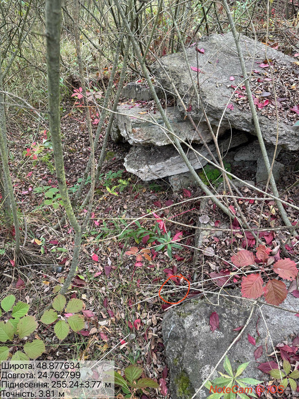 4a873f10d580186c3aac74d18747317ec10a