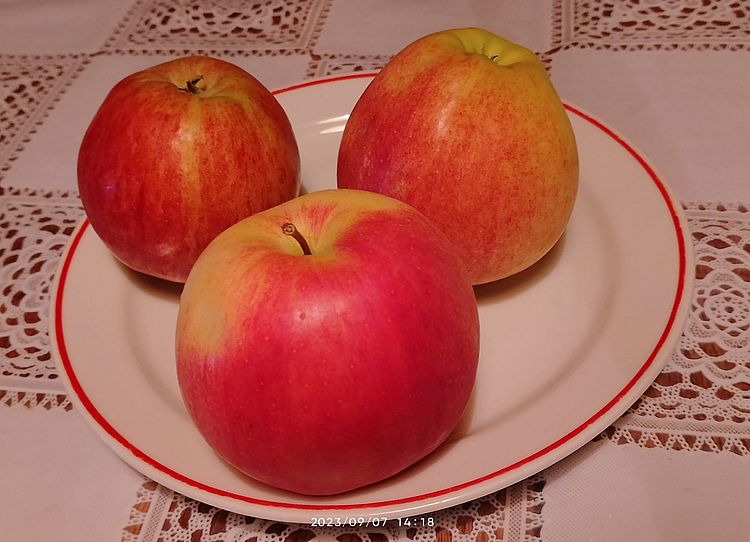 https://i.postimg.cc/m2JpZChP/alma-20230907.jpg