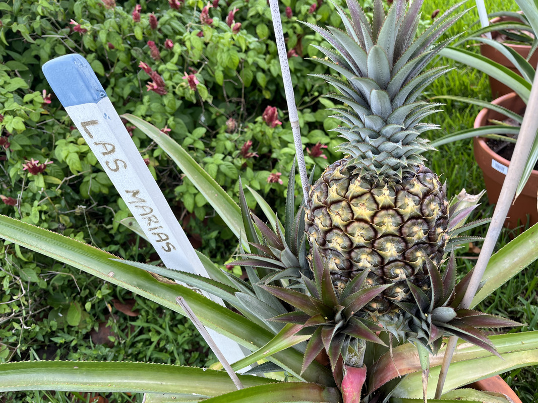 B2166A67-8F11-4020-94FA-FEC52EFD90F9