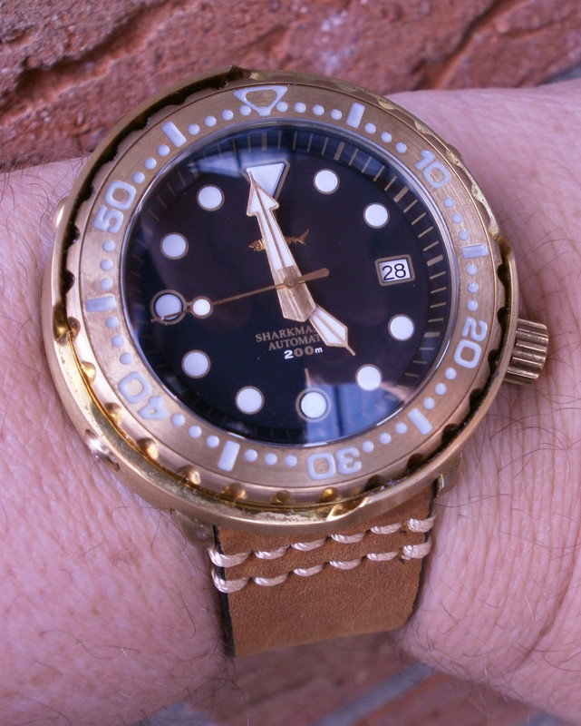 Heimdallr-Sharkey-bronze Sharkmaster-1