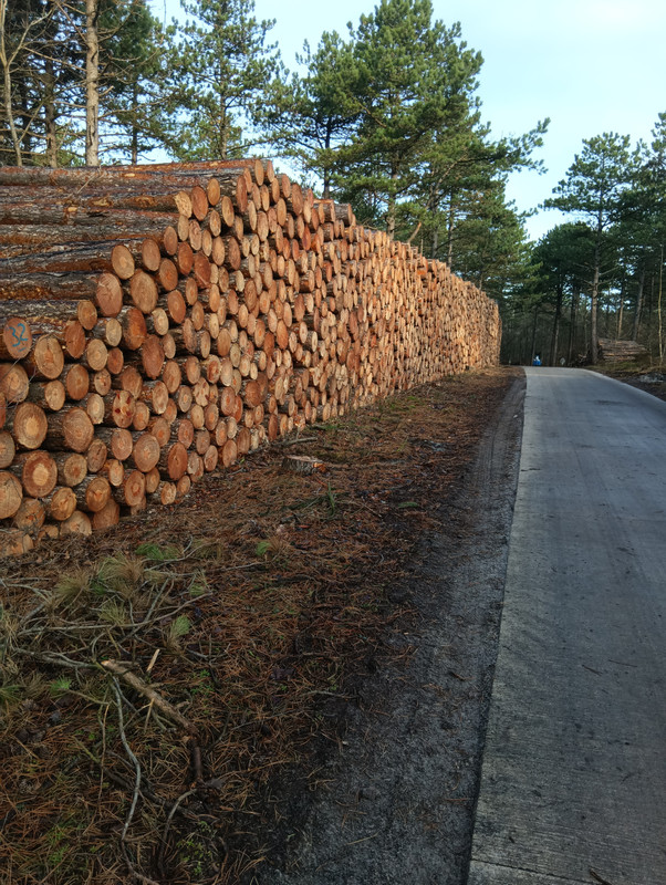 [Afbeelding: IMG-20251222-112322-1.jpg]