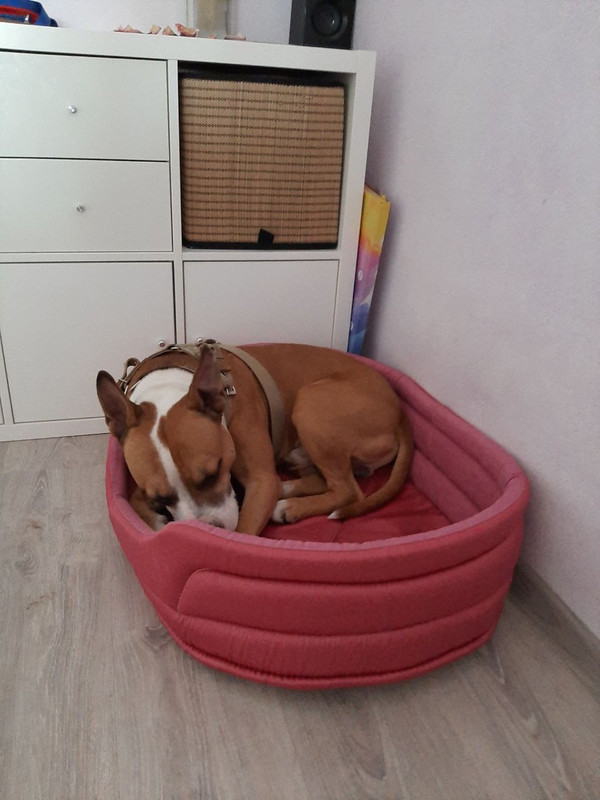 78195F2B-D004-4912-8B1E-B87FCA8D5E36